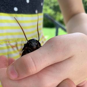 Meet your Posher, Sarah